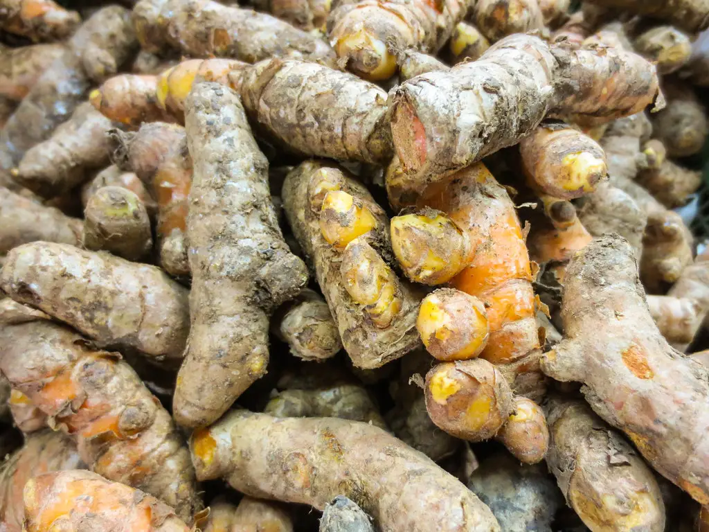 what is turmeric
