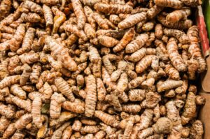 insect repellent properties of turmeric